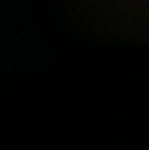 Meet your posher, Lily.